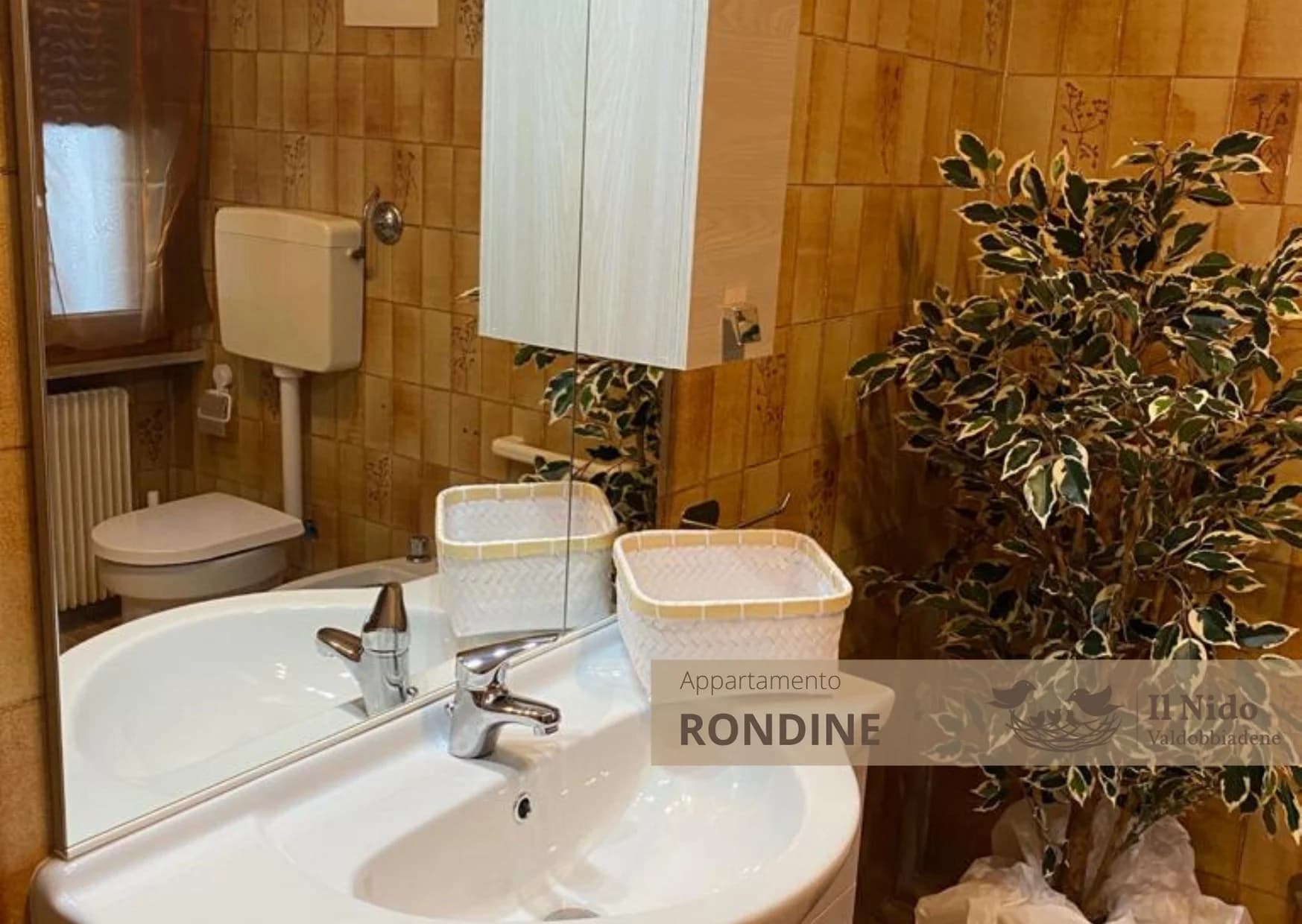 Dettaglio appartamento Rondine